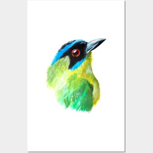 Blue Crowned Motmot Head Posters and Art